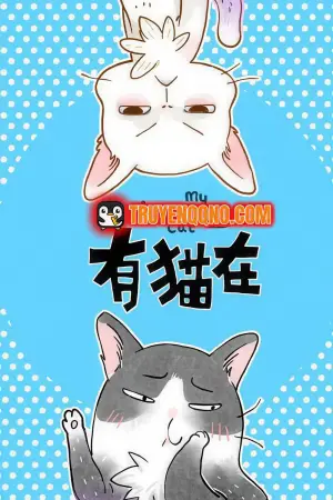 Ở Đây Có Mèo